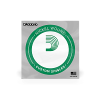 D`ADDARIO PNG035