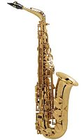 Selmer Jubilee SA80II GG