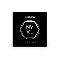 D`ADDARIO NYNW047